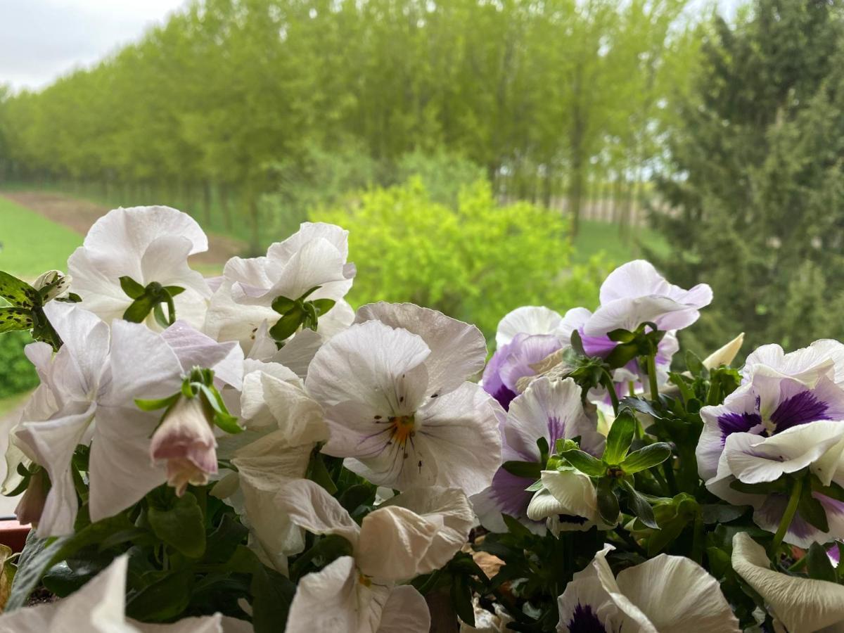 B&B Happiness In The Country Брешело Екстериор снимка